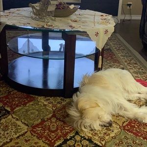 Meet your Posher, Dina